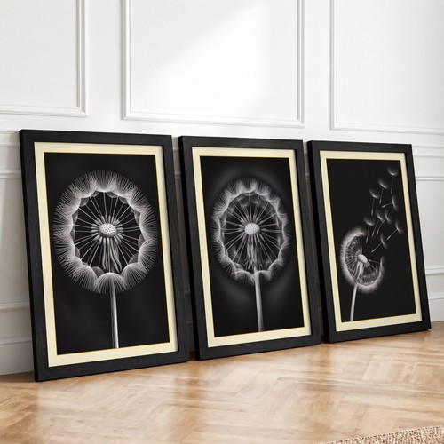 Dandelion series botanical set - dandelion,