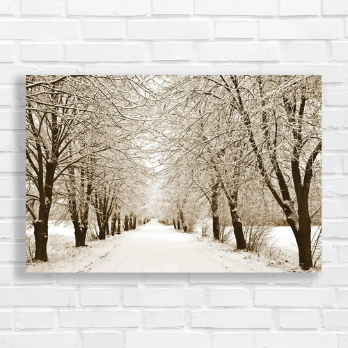 Winter wonderland snowcovered - wonderland,