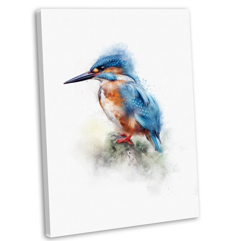 Kingfisher portrait - kingfisher,