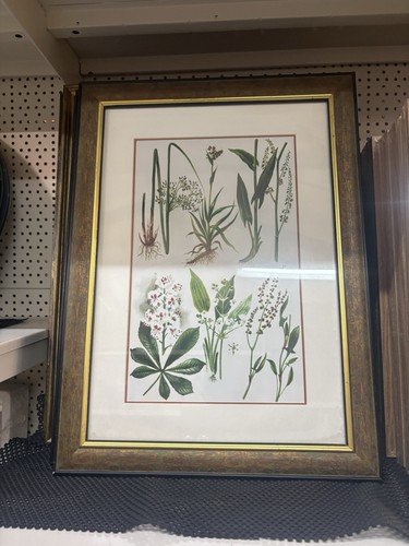 Vintage style botanical print - style,