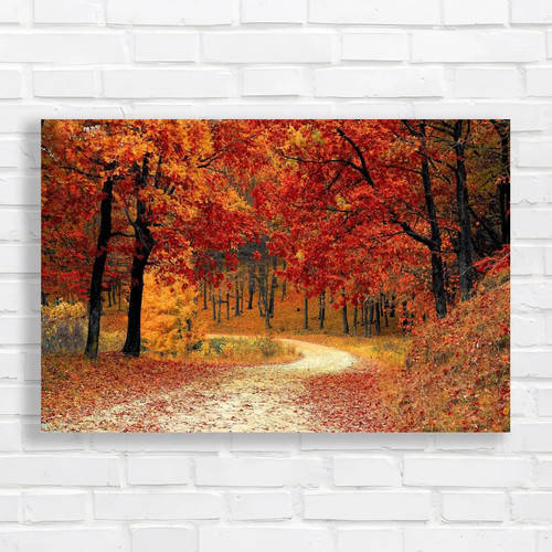 Autumn forest road embrace - road, the