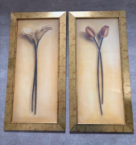 Pair stunning framed prints - stunning,