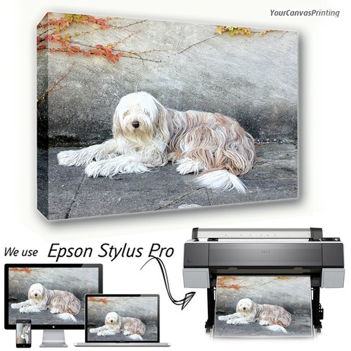 X 20 canvas prints - 16",