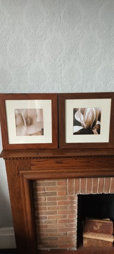 Framed art flower prints - flower, in