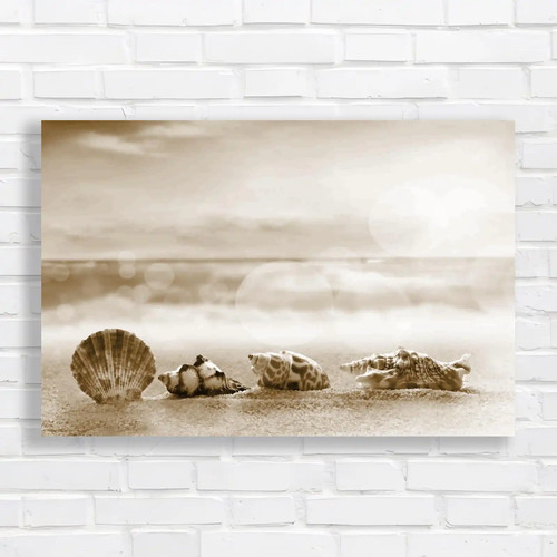 Coastal inspiration sea shells - coastal,