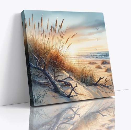 Beach sand dunes coastal - sand,