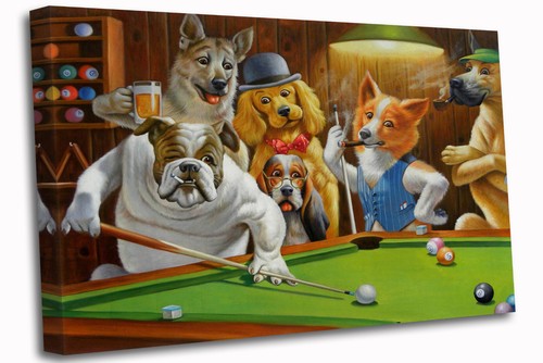 Dogs playing pool - dogs, c.