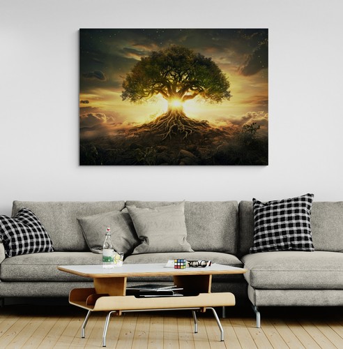 Tree life sunset - tree,