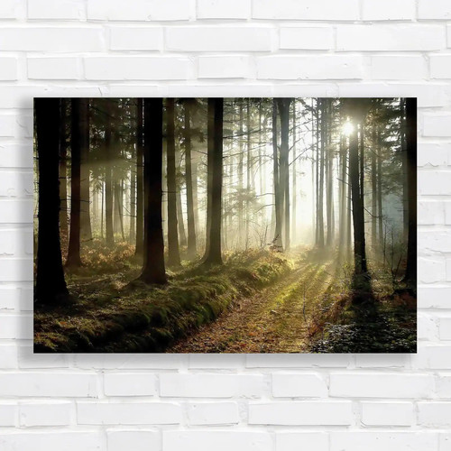 Misty dusk forest - dusk,